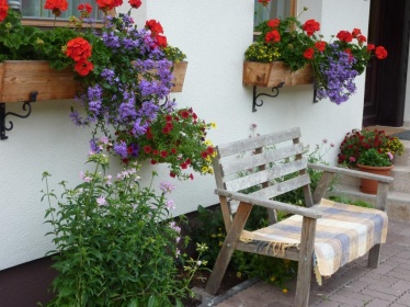 Sommerliche Blüten am Haus Maria